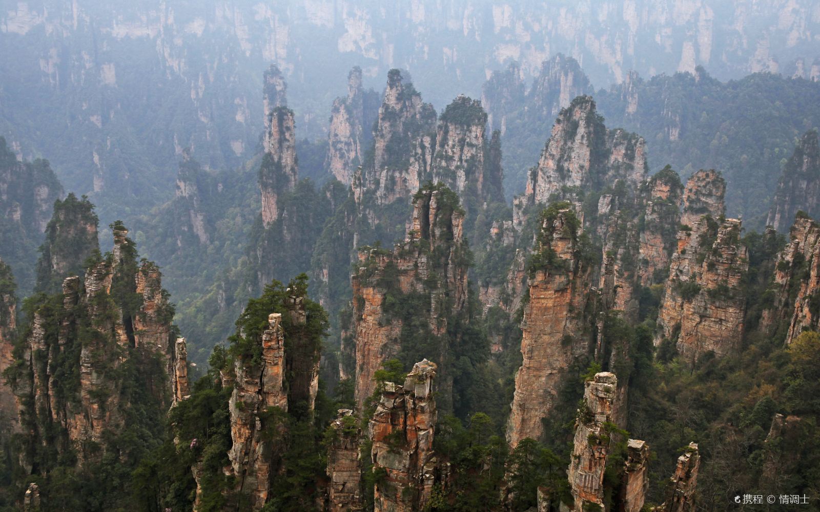 张家界国家森林公园+凤凰古城+大峡谷4天3晚“刺激浪漫”